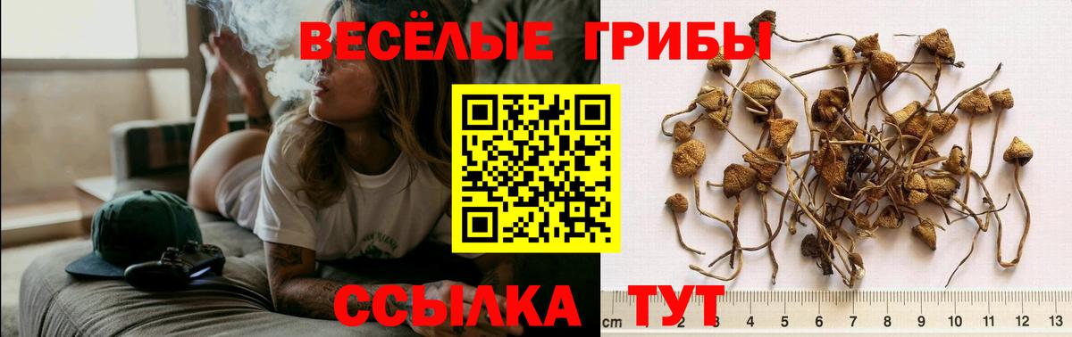 Петропавловск-Камчатский  Псилоцибиновые грибы мухоморы  Вход с VPN  Галлюциногенные грибы Magic Shrooms 