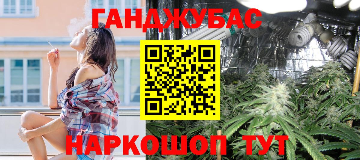 Бошки Шишки планчик  Марихуана планчик  Петропавловск-Камчатский  Вход с VPN 